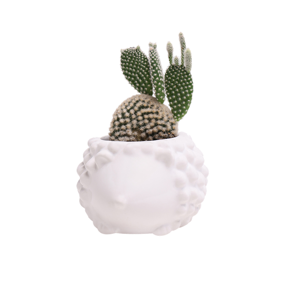 Hedgehog-Shaped Ceramic Planter for Succulents - Small Indoor Flower Pot with Drainage Hole - Perfect for Home, Office Desk Decor and Gift Ideas