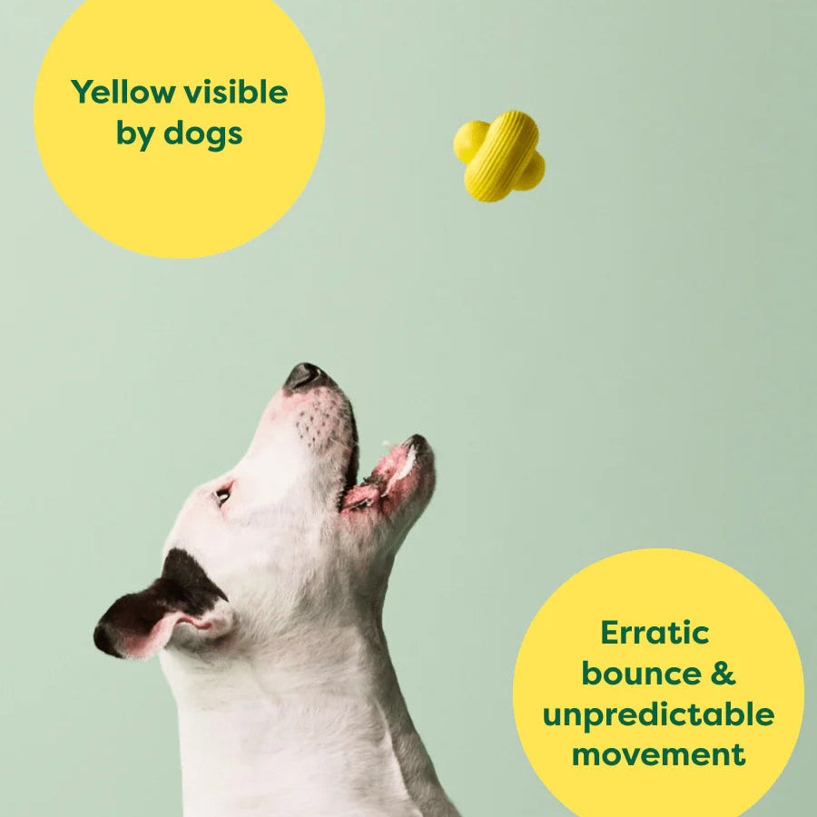 Earth Rated Dog Fetch Toy - Durable & Safe Chew-Resistant Fetch Ball for Outdoor Play & Training - Perfect for Beach, Park & Backyard Fun