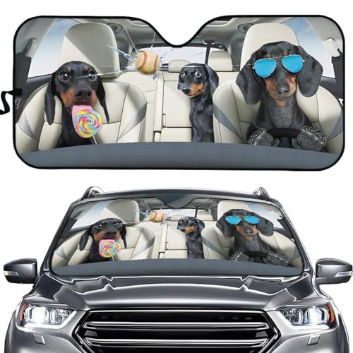 Funny Dog Driver