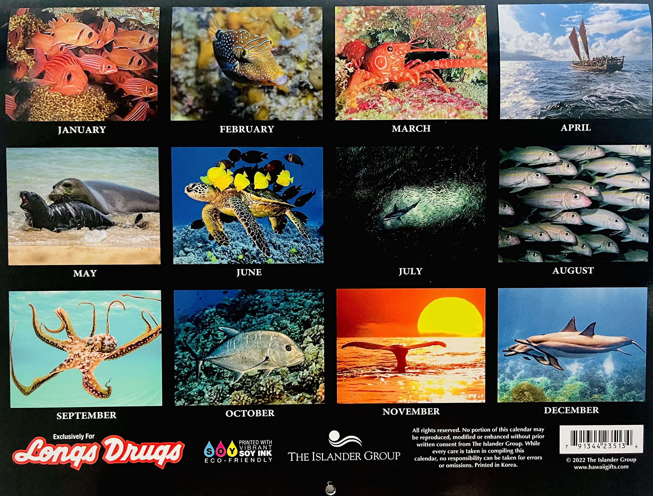 2023 Hawaii Tide & Moon Phase Calendar - 12 Month Hawaiian Wall Calendar for Surfing, Fishing & Beach Activities | Long's Authentic Hawaiian Gifts
