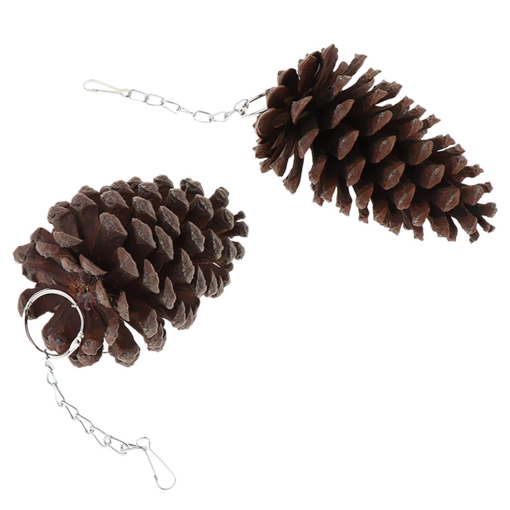 2Pcs Natural Wooden Chewing Bird Toys & Perches for Parrots - Safe & Durable for Cage Play, Training & Beak Trimming