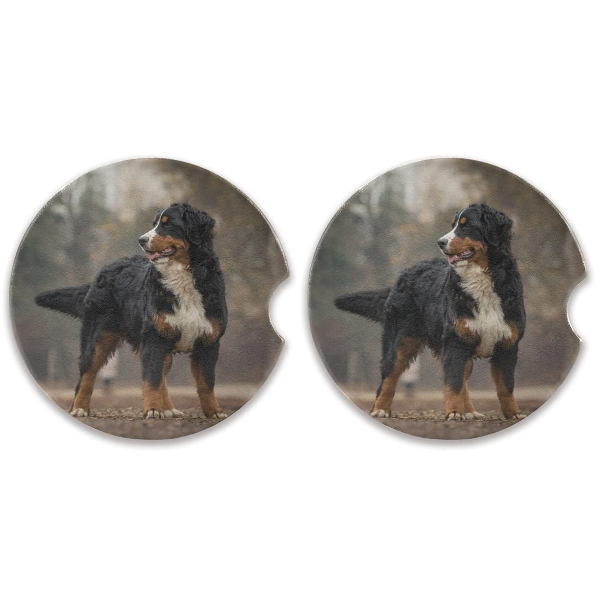 Bernese Mountain Dog Car Coasters 2 Pack - 2.56