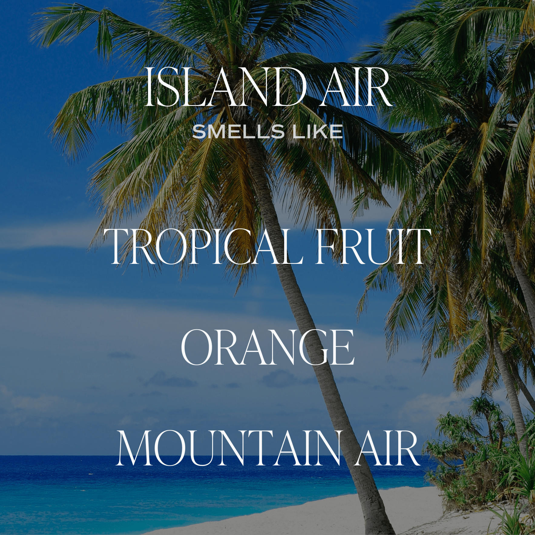 Island Air Tan Matte Jar Candle - Natural Soy Wax Scented Candle for Home, Office & Relaxation | Perfect for Aromatherapy, Gifts & Cozy Ambiance