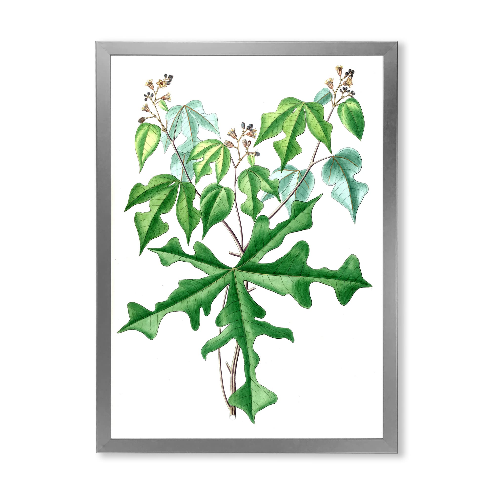 Vintage Wild Plants Botanical Drawing - Traditional Framed Wall Art Decor for Living Room, Bedroom & Office