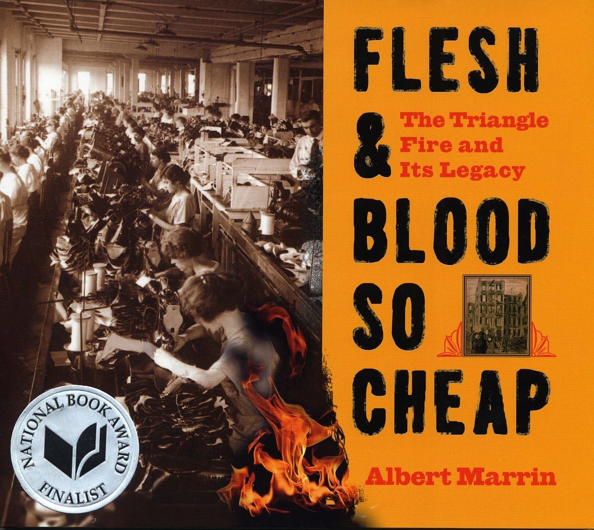 Flesh and Blood So Cheap: The Triangle Fire and Its Legacy - Historical Nonfiction Book on Workplace Safety & Labor Rights - Perfect for Students, Historians, and Social Activists
