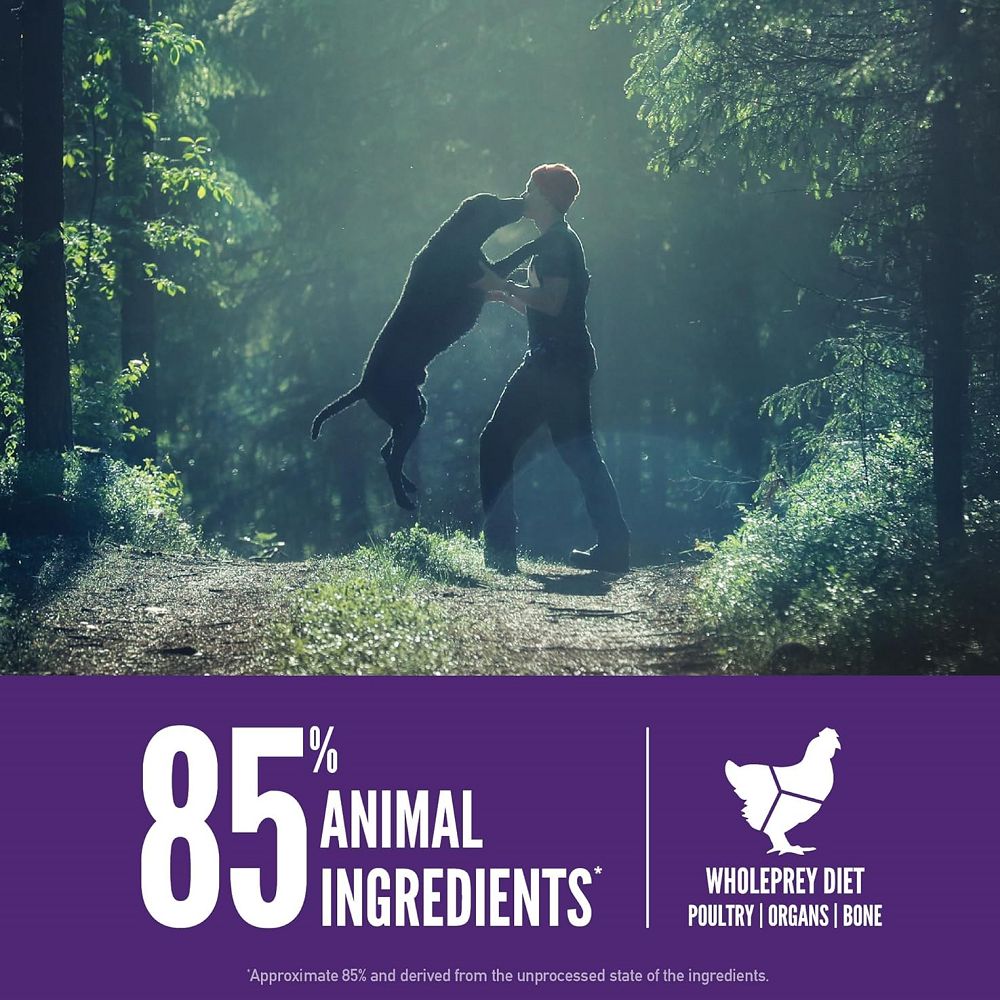 Premium Large Breed Adult Dog Food - Chicken & Turkey Recipe - High Protein Dry Kibble for Big Dogs - Made in USA - Ideal for Active & Senior Large Breeds Like Labs, German Shepherds & Great Danes