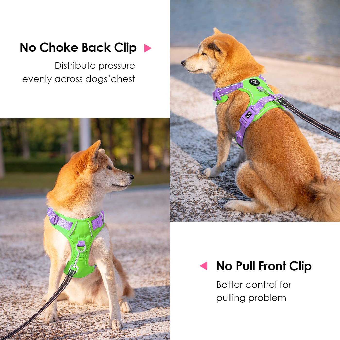 PHOEPET No Pull Dog Harness - Reflective Adjustable Vest with Soft Training Handle & Metal Clips for Small, Medium, Large Dogs (Green Base & Purple Straps, Size S) - Perfect for Walking, Training, and Nighttime Safety