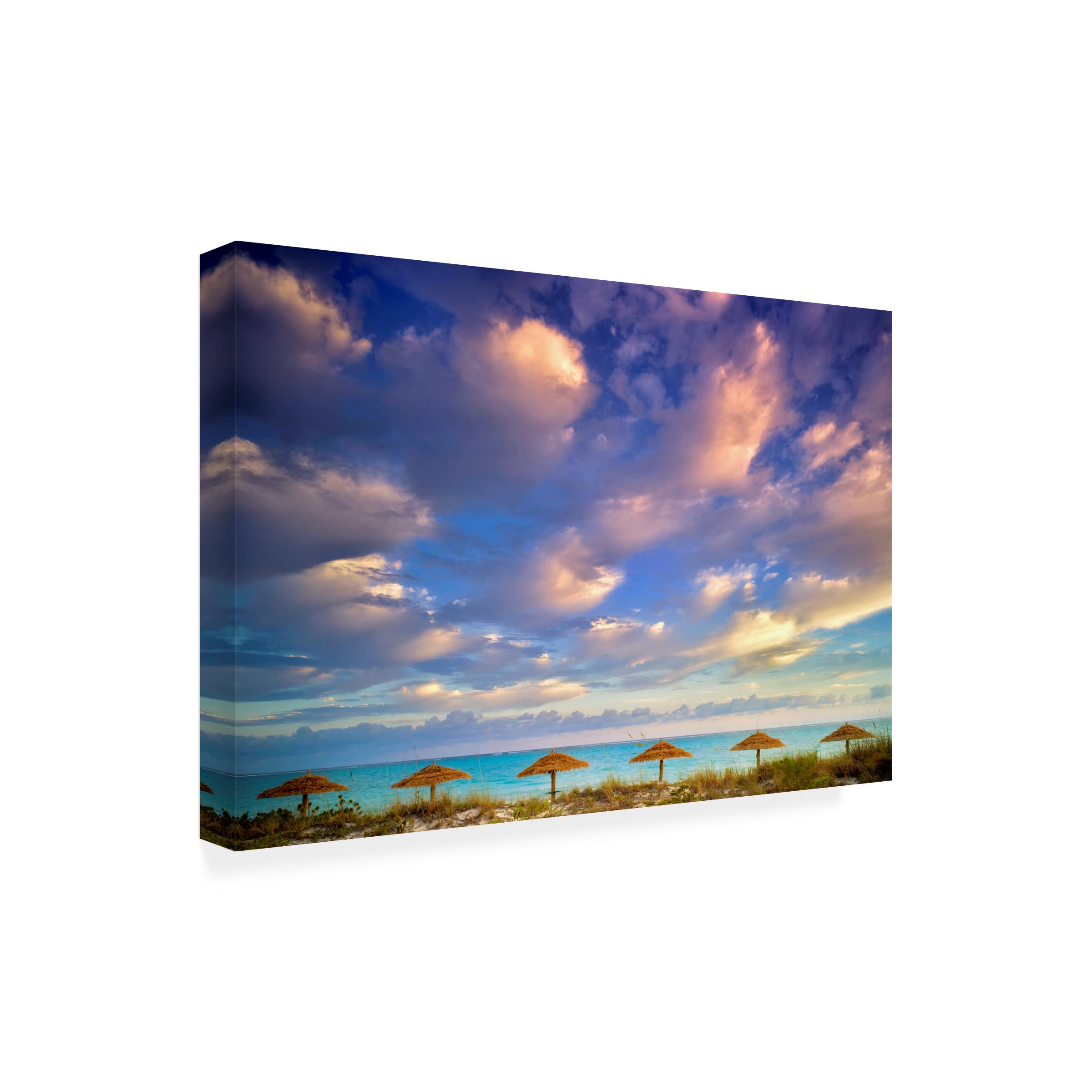 Trademark Fine Art 'Umbrella' Canvas Print by Dennis Frates - Stunning Beach Scene Wall Decor for Living Room, Bedroom & Office