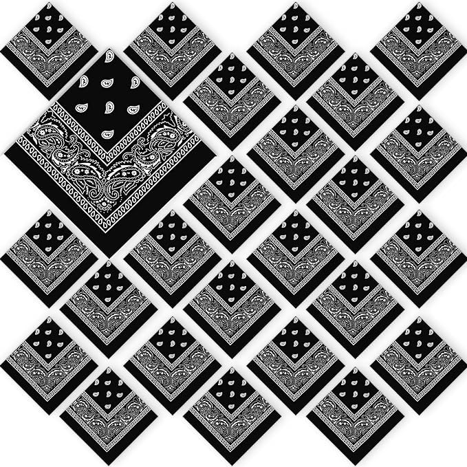 24 Pack Paisley 100% Cotton Double Sided Bandanas for Men & Women - Fashionable Hair Accessories, Face Cover, Neck Scarf - Perfect for Outdoor Activities, Concerts, and Sports by M.H.I.