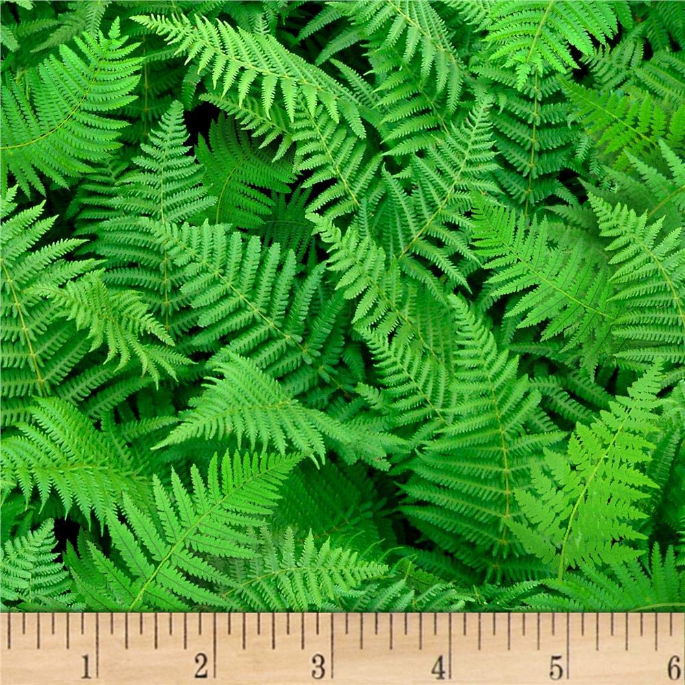 Landscape Medley Ferns Green Quilting Fabric by the Yard - Premium Cotton Fabric for Quilting, Sewing & DIY Crafts - Perfect for Home Decor, Apparel & Patchwork Projects