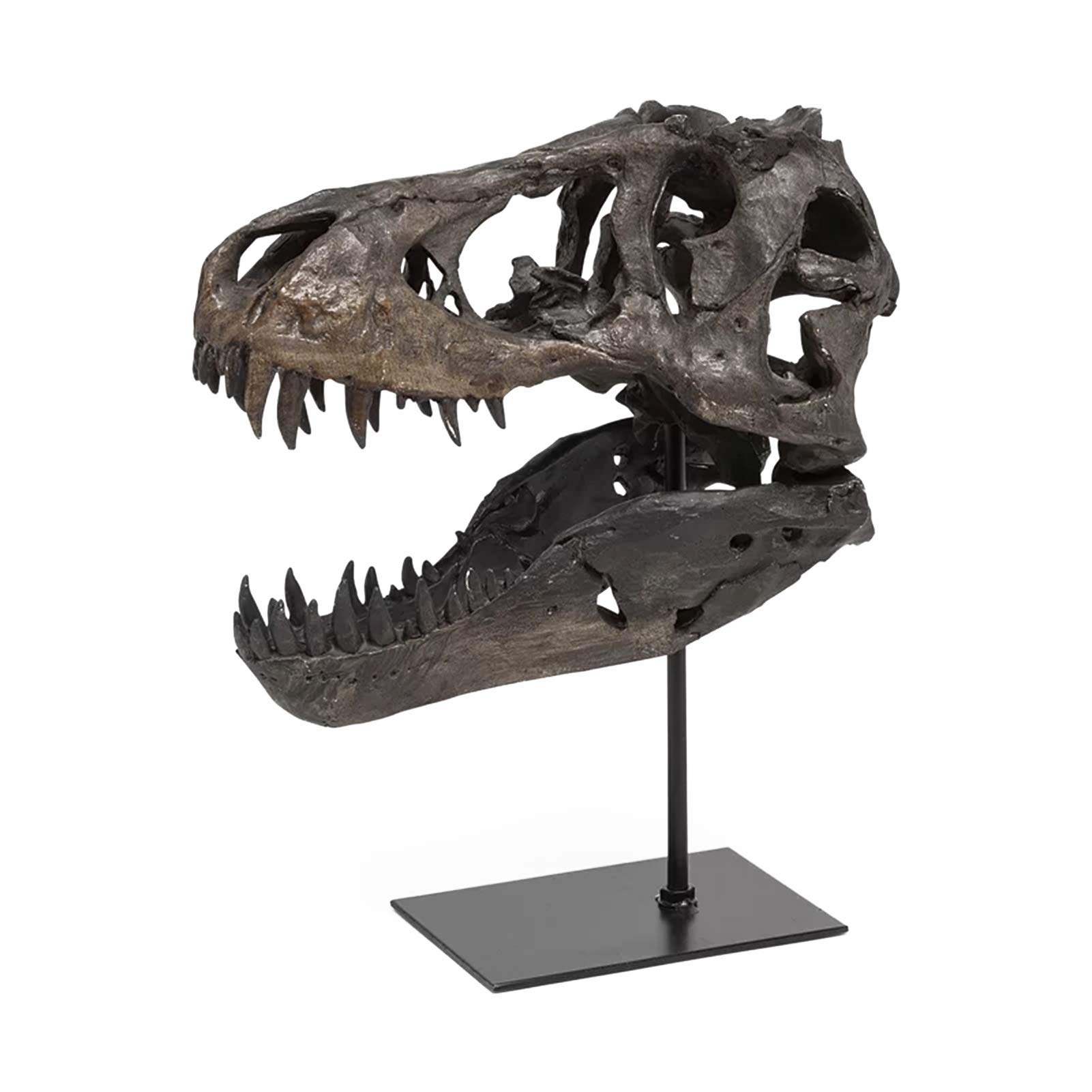 Gothic Dinosaur Skull Statue - Resin Home Decor Sculpture for Living Room, Office, TV Cabinet & Wine Bar | Unique Halloween, Birthday Gift for Dinosaur Lovers & Gothic Decor Enthusiasts | Perfect for Dark Academia Theme & Man Cave Decor