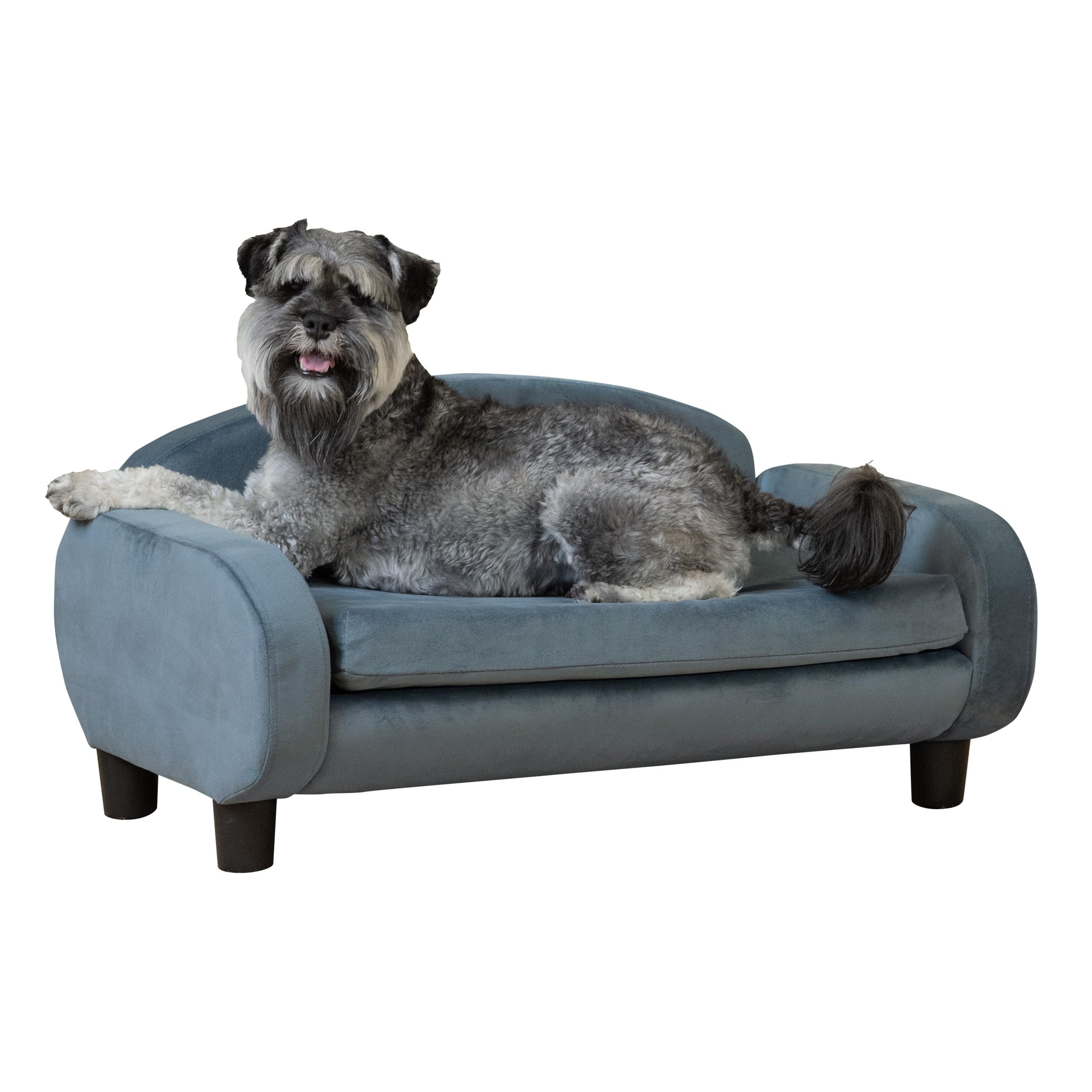 Paws & Purrs Modern Pet Sofa - 31.5 Inch Wide Low Back Dog Cat Bed with Removable Washable Cover (Espresso/Cornflower) - Cozy Lounge for Living Room, Bedroom & Pet Nursery