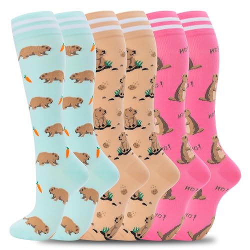 09-6pairs-animal 1