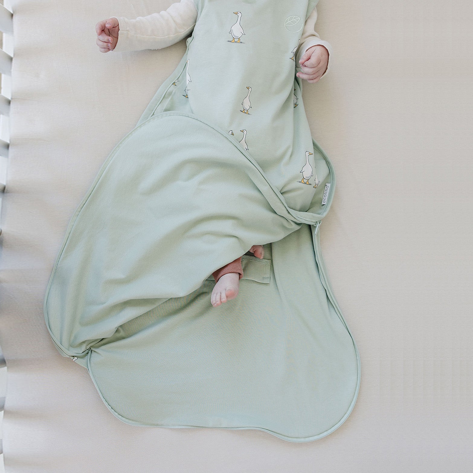 Ecolino® Adjustable Organic Cotton Toddler Sleep Bag for Kids 2-4 Years - Soft & Breathable Baby Sleeping Sack for Nursery, Daycare & Travel
