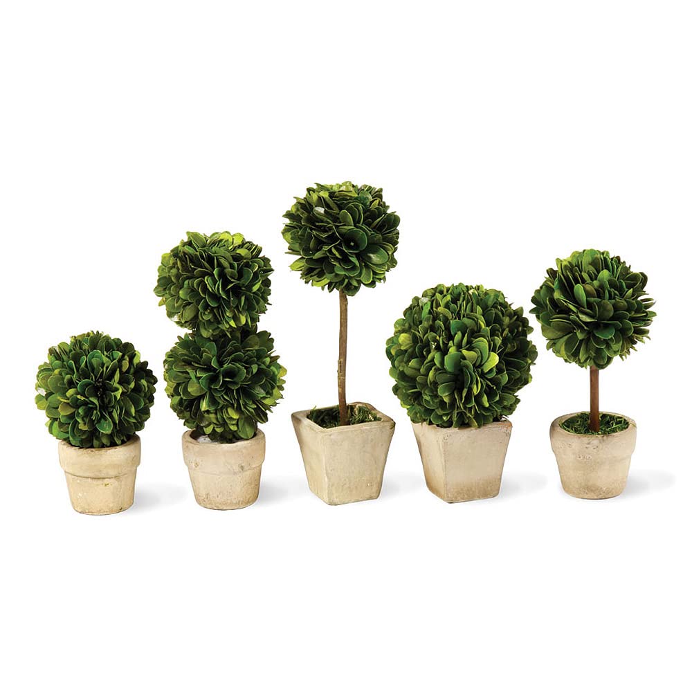 Napa Home & Garden Boxwood Mini Topiaries in Pots - Set of 5 Artificial Green Plants for Indoor/Outdoor Decor, Table Centerpieces, Wedding & Home Décor