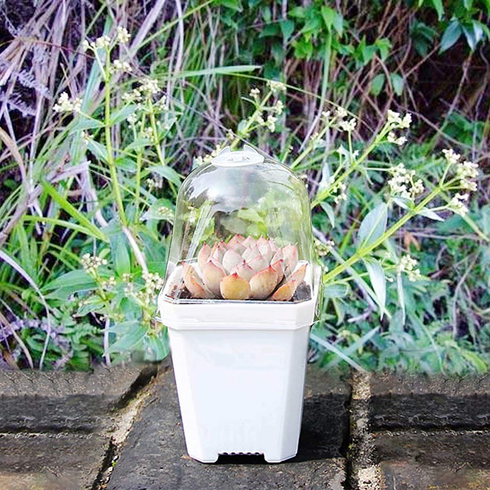 10 Sets 4 Inch Plant Nursery Pots with Humidity Dome - White Seedling Trays & Seed Starter Kit for Flowers, Herbs, Vegetables - Vented Domes & Drain Holes - Perfect for Indoor Gardening, Greenhouses & Hydroponics