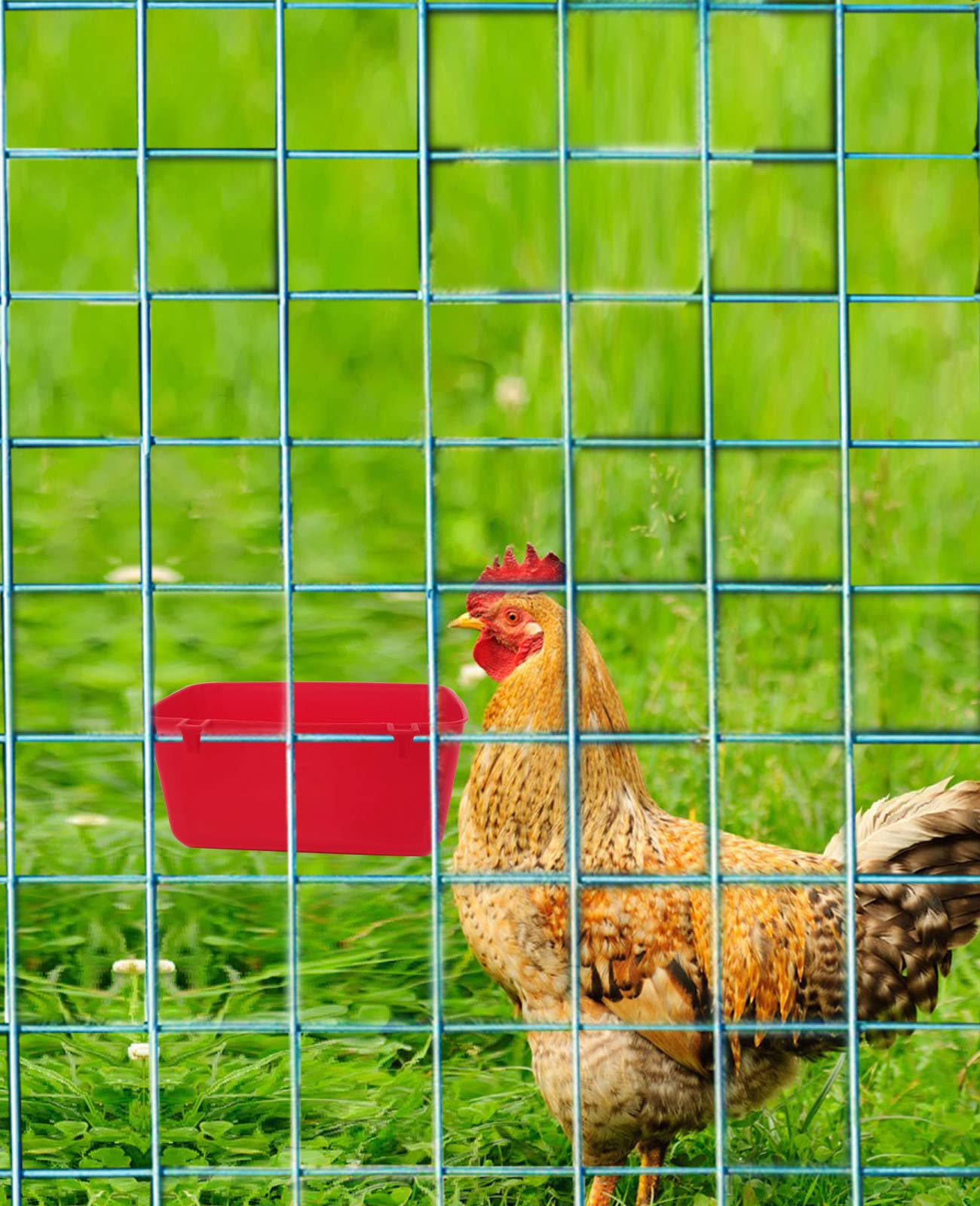 6 Pack Hanging Chicken Feeder and Waterer - 21oz Food & Water Cage Cups for Puppy, Cat, Rabbit, Pigeon, Hamster - Durable Coop Bowl & Treat Drinker for Small Pets - Perfect for Bird Bath, Feeding Station, and Outdoor Animal Care