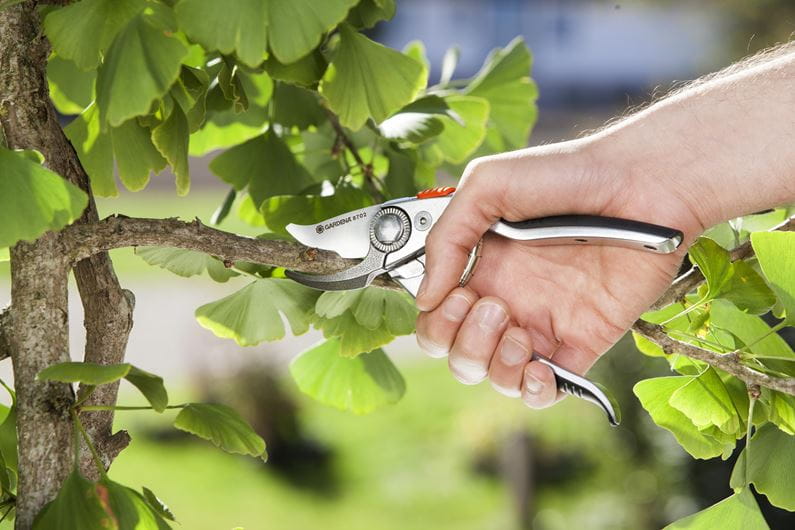 Premium Gardena B+/L Pruning Shears - Professional Garden Scissors for Trimming, Cutting & Pruning Plants, Flowers & Shrubs - Ideal for Gardening, Landscaping & Outdoor Use