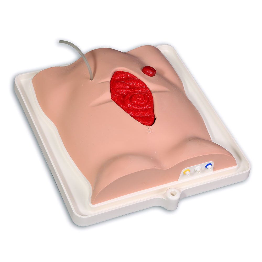 Freddie Fistula™ Hemodialysis Skills Trainer Kit with Carrying Case - Perfect for Nursing Students & Dialysis Training Practice