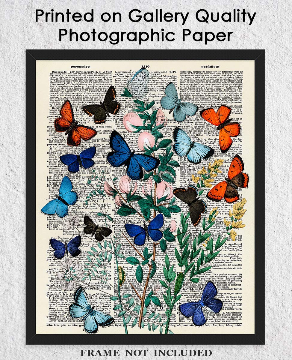 Butterflies and Moths Dictionary Wall Art Print - 8x10 Unframed Nature Poster for Home Decor, Living Room, Bedroom & Office
