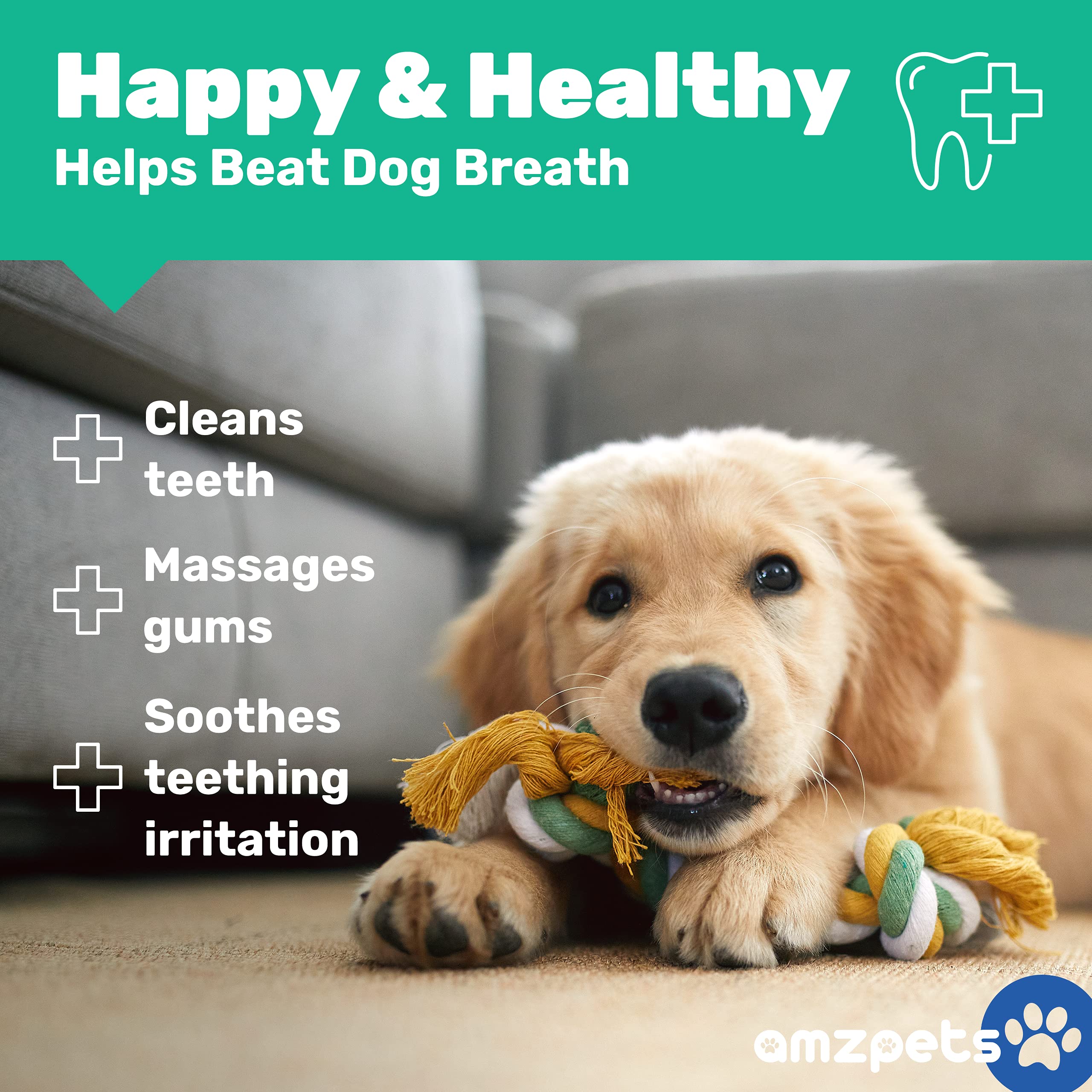 10 Pack Small Dog Toys for Puppies - Squeaky Chew Toys with Ropes, Balls & Rubber Bones - Interactive Plush Dog Toy Set for Tug of War, Fetch & Training - Perfect for Indoor/Outdoor Playtime & Puppy Teething Relief