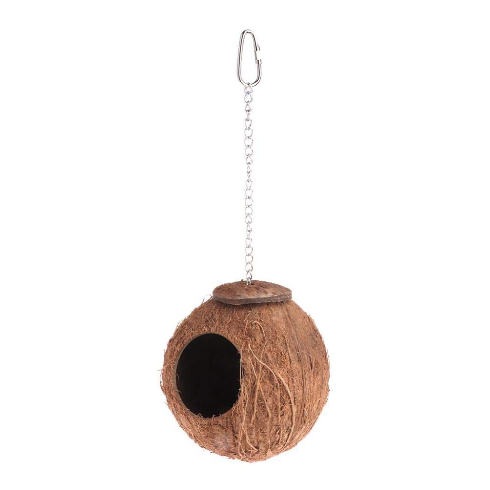 Natural Coconut Shell Bird Ladder & Swing House - 2Pcs Hanging Cage Toys for Parrots, Finches & Small Birds | Perfect for Climbing, Playing & Resting in Aviaries & Bird Cages