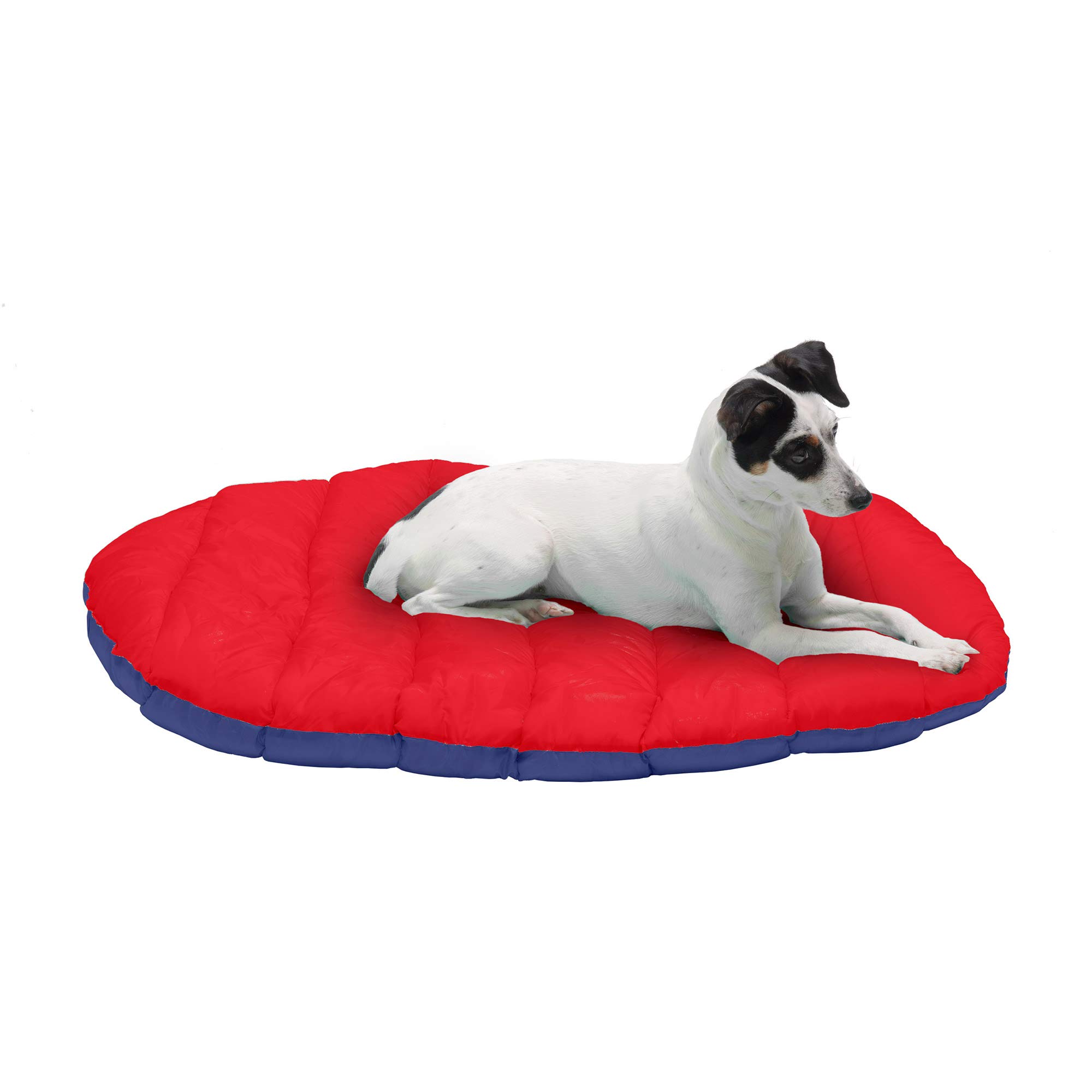 Furhaven Travel Dog Bed for Small Dogs - Washable, Foldable with Carry Bag - Perfect for Crates, Kennels & Outdoor Adventures