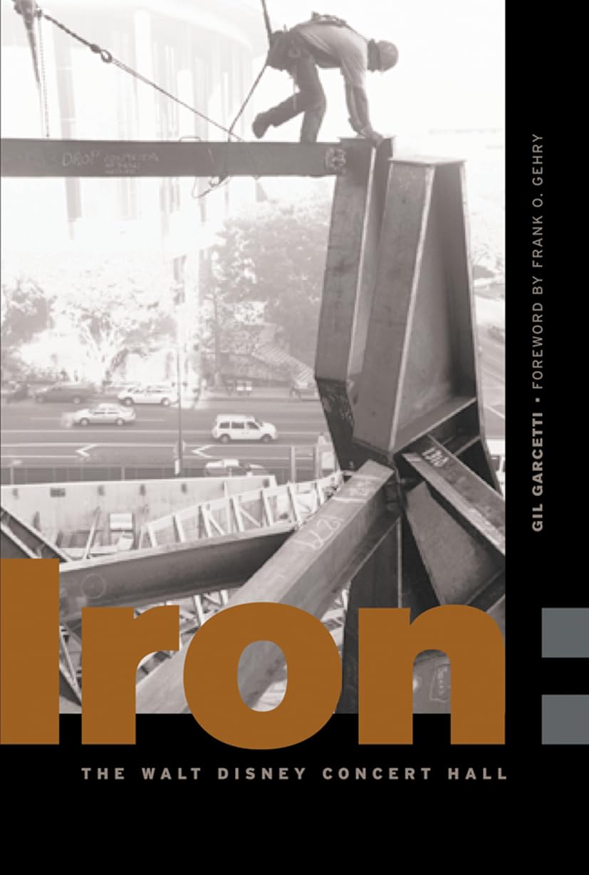 Stainless Steel Iron for Construction - Perfect for Building Structures Like the Walt Disney Concert Hall | Durable & High-Quality Metal for Architectural Projects