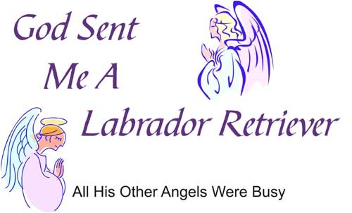 God Sent Me A Labrador Retriever T-Shirt - Funny Dog Lover Tee - Comfortable Cotton Shirt for Labrador Owners & Pet Lovers - Perfect Gift for Dog Walks, Pet Parties & Casual Wear
