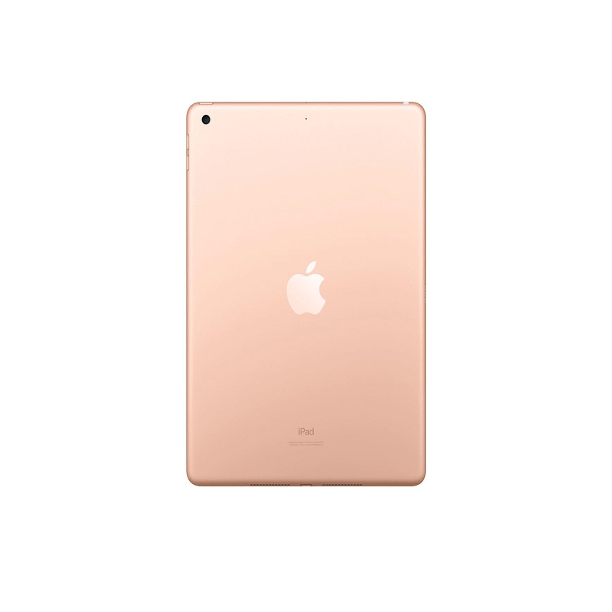Apple 10.2