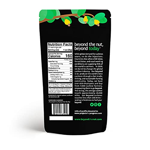 Beyond Organic Roasted & Salted Cashews, 3.5 oz Bag - Healthy Non-GMO Fairtrade Snack Pack - Individually Wrapped for Travel, Office & On-The-Go Nutrition