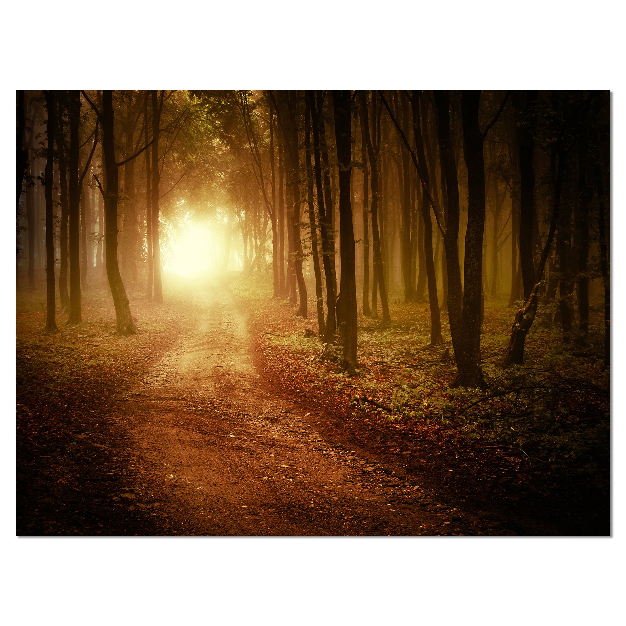 Foggy Forest Sunrise Landscape Photography Canvas Print - Nature Wall Art for Living Room, Bedroom & Office Decor