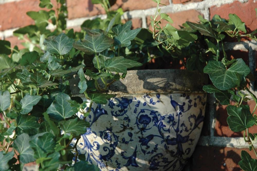 Esschert Design USA Ceramic Wall Planter - Blue & White Handmade Flower Pot for Indoor/Outdoor Garden Decor - Perfect for Balcony, Patio, and Home Wall Decoration