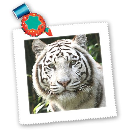 3D White Tiger 10x10 Inch Quilt Square - Premium Cotton Fabric for DIY Quilting, Home Decor, and Craft Projects - Perfect for Bedding, Wall Art, and Gift Making