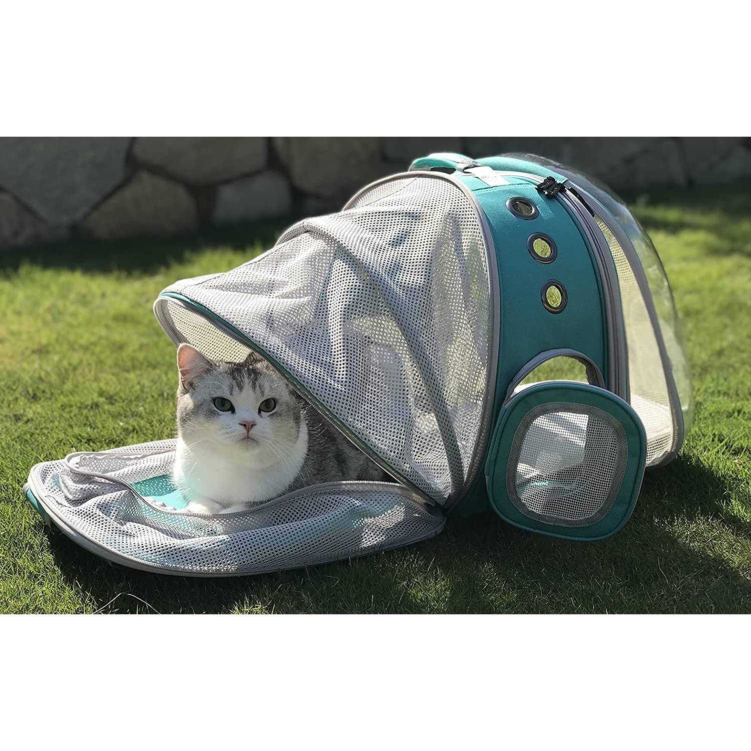 Emily Pets Airline-Approved Pet Carrier Backpack - Bubble Design for Cats & Small Dogs - Travel, Hiking & Outdoor Use - Perfect for Airplane Cabins, Vet Visits & Daily Adventures (Sky Blue)