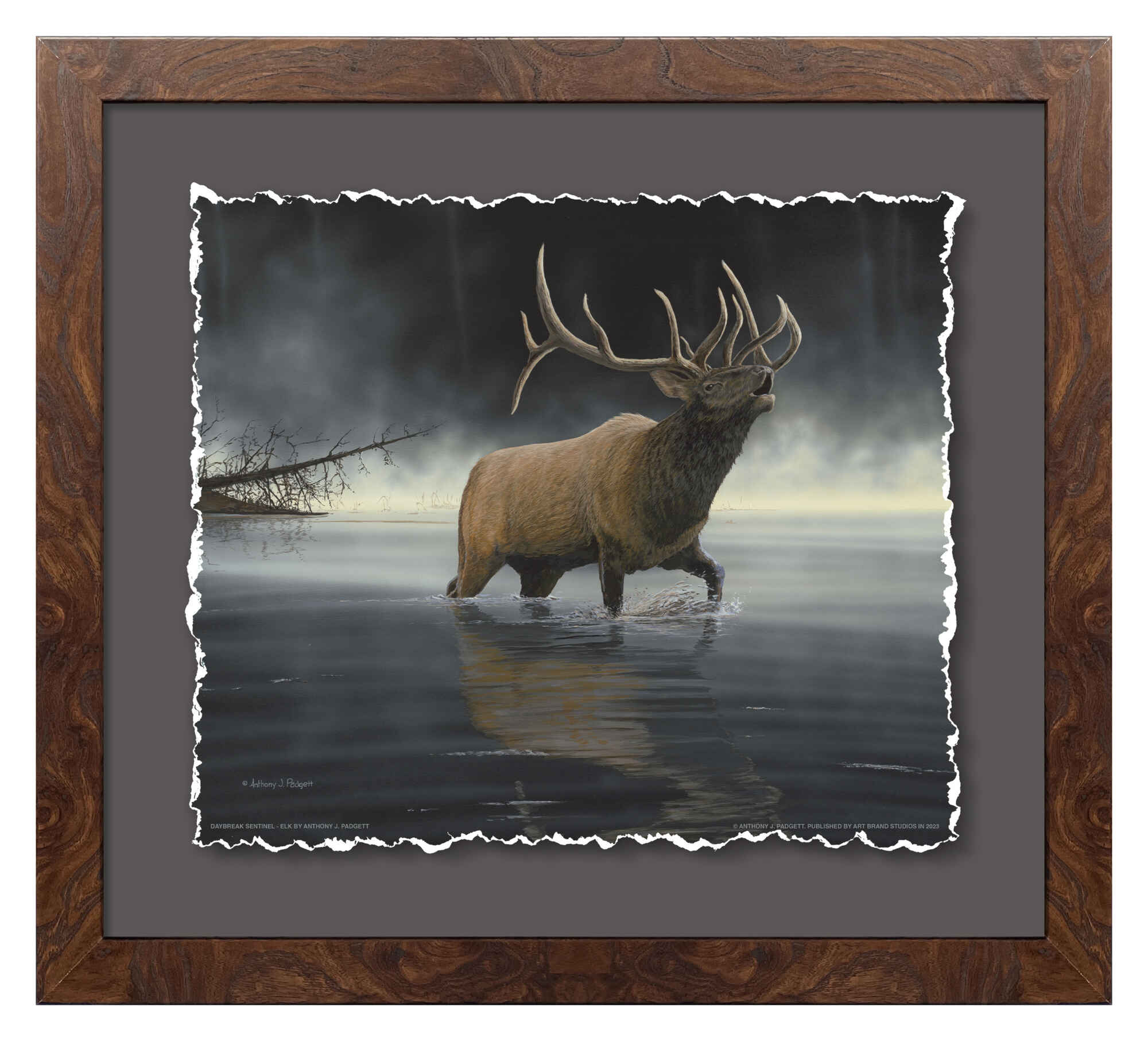 Daybreak Sentinel Elk Hunting Gear - Premium Outdoor Equipment for Elk Hunting & Wildlife Observation | Perfect for Camping, Hiking & Nature Exploration