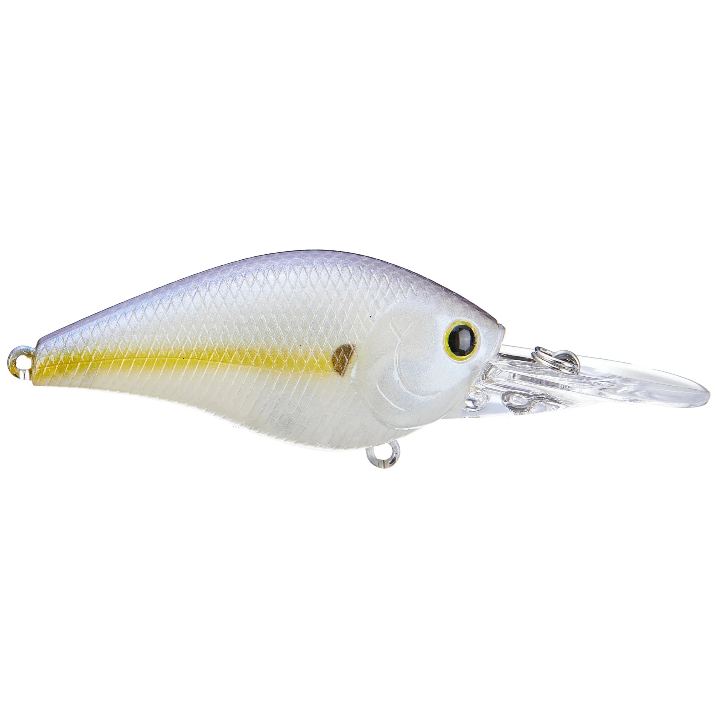 BP Golden Shiner