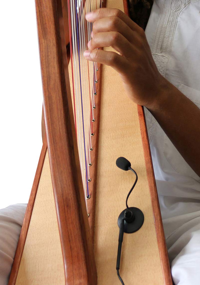 Myers Pickups The Feather Concert Harp Microphone with Flexible Micro-Gooseneck - Professional Harp Recording for Live Performances & Studio Sessions