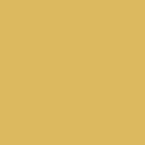 Yellow/Grey