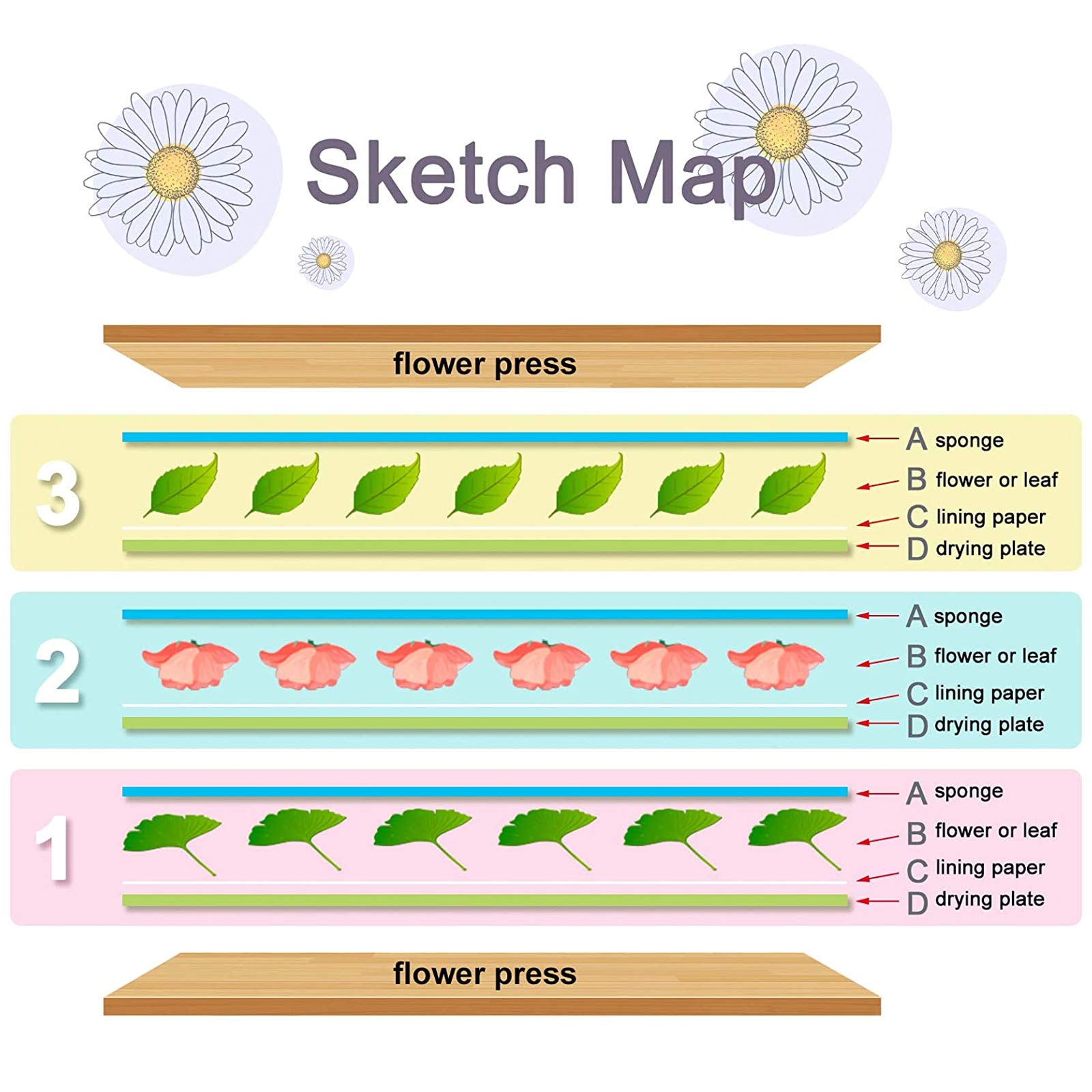 WANDIC A5 Thickened Wooden Flower Press Kit - DIY Plant & Leaf Pressing Book for Art, Handmade Crafts, Specimen Collection - Perfect for Adults & Craft Lovers (Ideal for Scrapbooking, Nature Journaling & Botanical Art Projects)