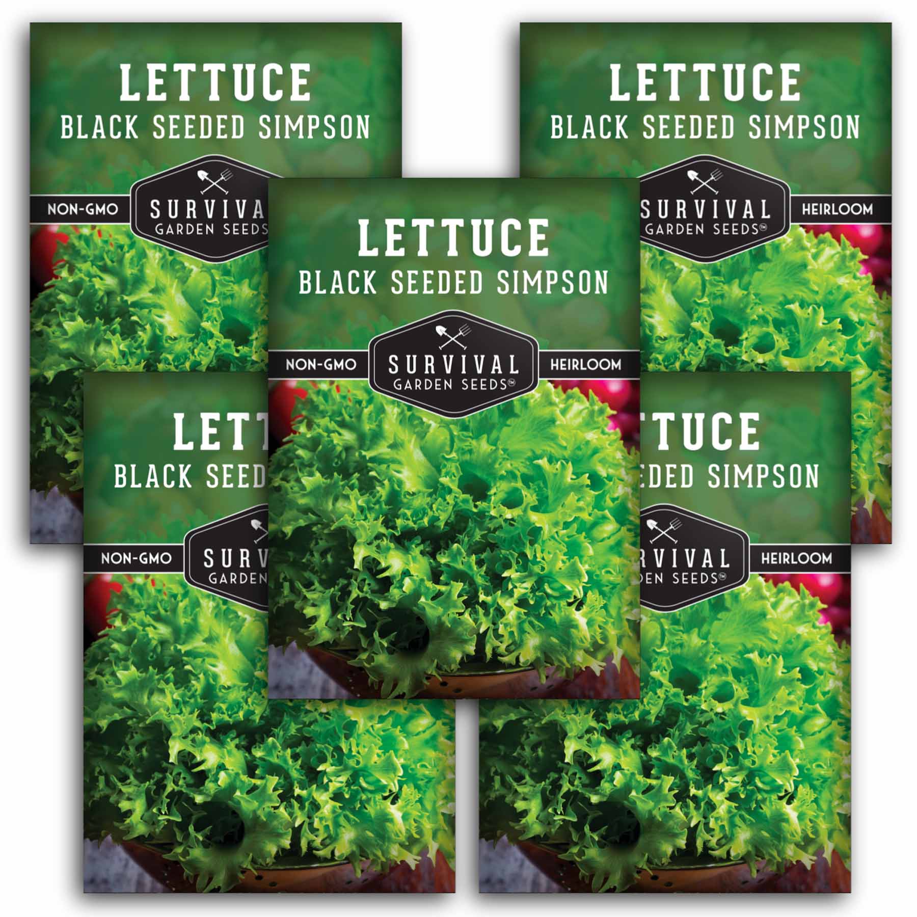 Organic Black Seeded Simpson Lettuce Seeds - Non-GMO, Heirloom Variety for Home Gardening - Perfect for Salads, Sandwiches, and Fresh Eating