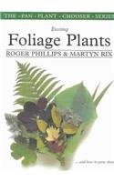 Best Foliage Plants for Home & Garden - Easy Growing Guide (Pan Plant Chooser Series) | Perfect for Indoor Decor, Office Spaces & Landscaping