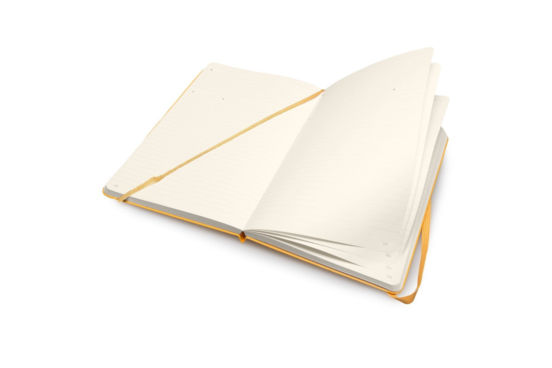 Premium Moleskine Folio Professional Notebook - Large Size (8.5