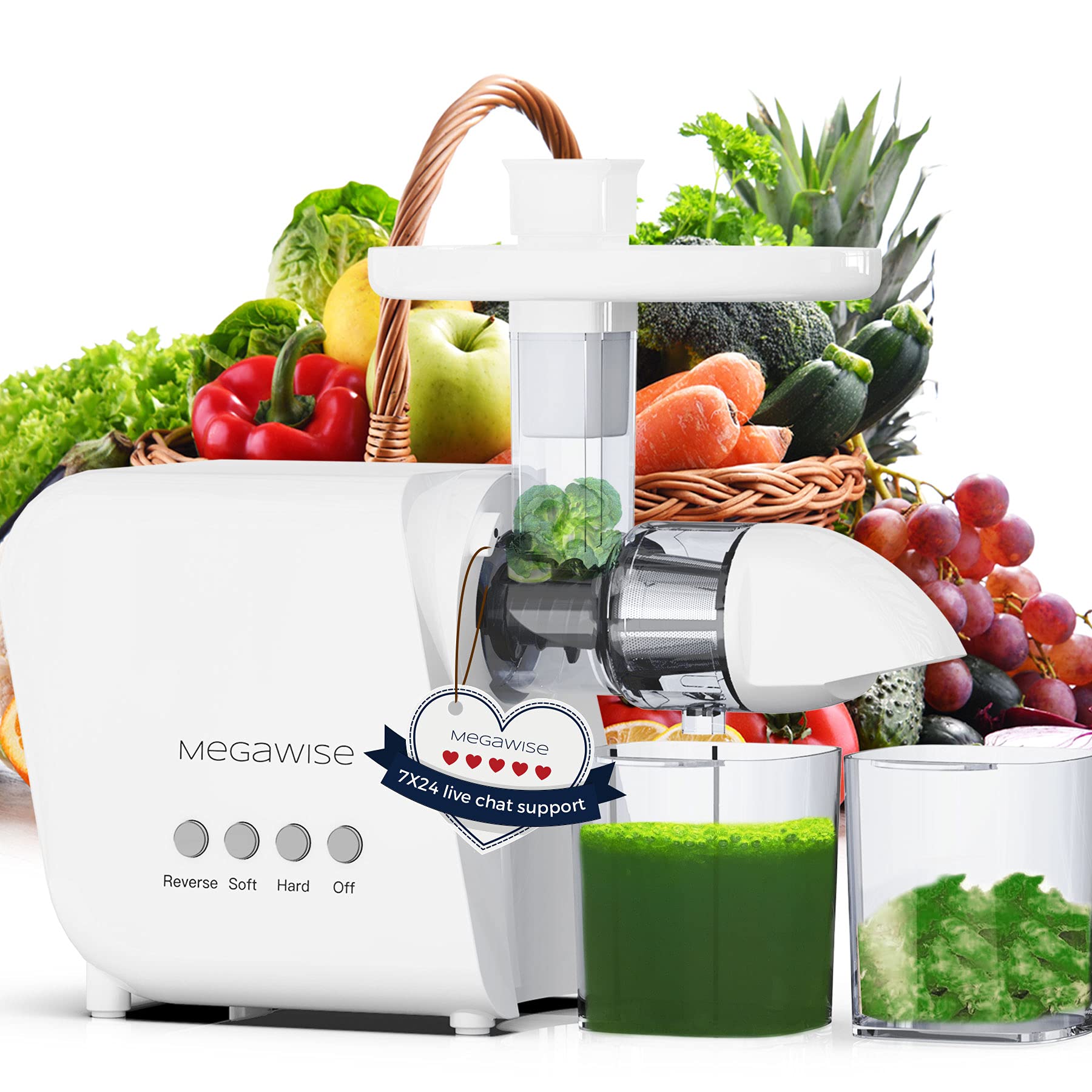 MegaWise Pro 2025 Slow Masticating Juicer - High 95% Juice Yield, 2-Speed & 9-Segment Spiral Cold Press Technology for Vegetables, Fruits, Nuts - Enhanced Nutrition & Better Taste - Perfect for Healthy Smoothies, Detox Drinks & Homemade Baby Food