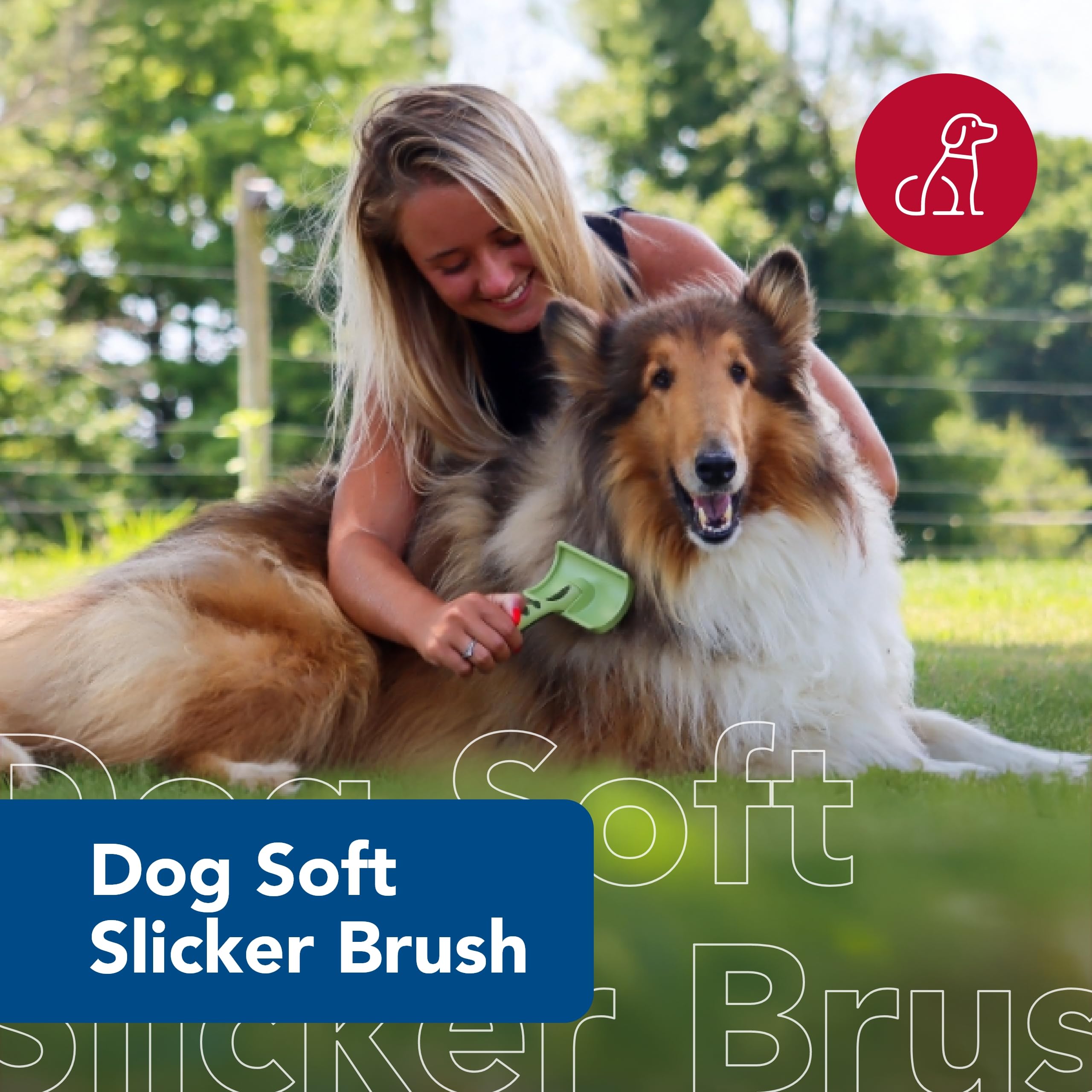 Coastal Pet Safari Dog Soft Slicker Brush - Gentle Grooming Brush for Shedding Control - Works on Short, Medium & Long Hair Dogs - Small Size 6.5