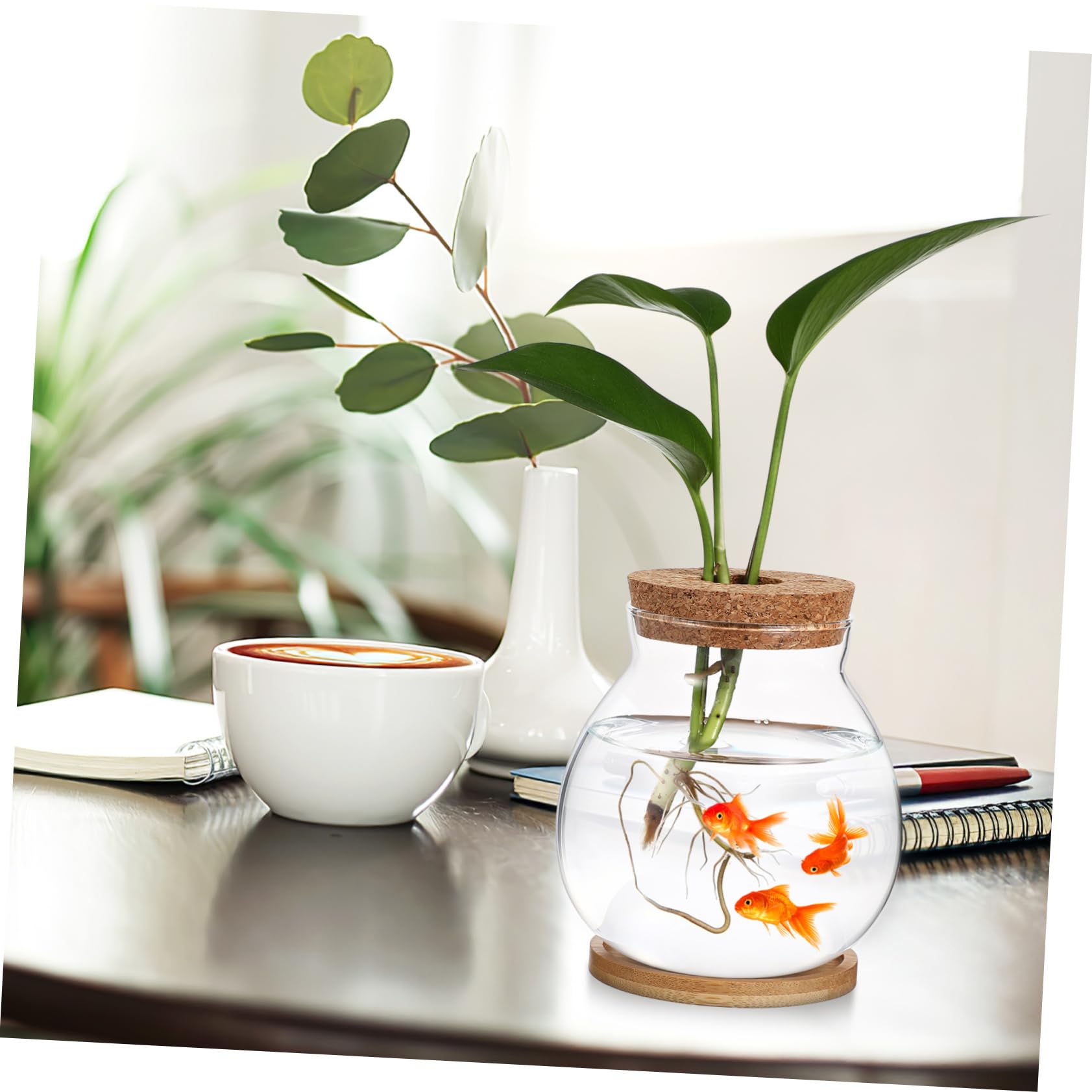 Glass Terrarium with Lid - Goldfish Bowl, Betta Fish Tank, Hydroponic Plant Vase for Office Desk Decor | Perfect for Home Aquarium, Indoor Gardening & Zen Bamboo Arrangements
