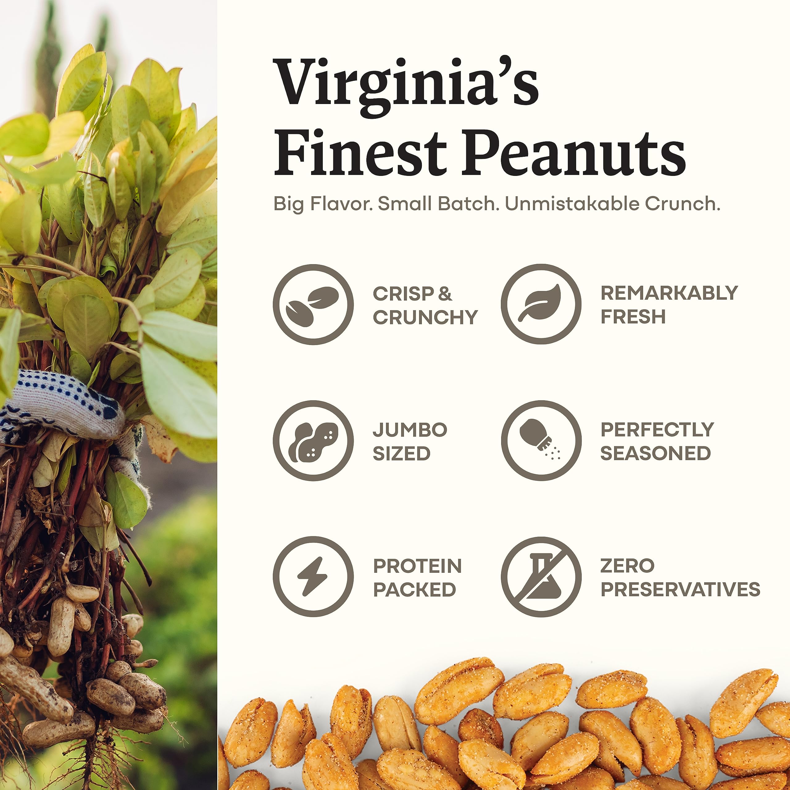 Belmont Peanuts Gourmet Chili Lime Virginia Peanuts, 20 oz (1 Pack) – All Natural, No Preservatives, High Protein (7g per Serving) – Spicy Citrus Snack for Parties, Office, Hiking & Game Night