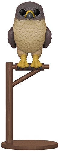 Funko Pop! Games: Destiny - Hawthorne with Hawk Vinyl Figure Collectible Toy | Bundle Includes Pop Protector Case | Perfect for Gaming Fans & Collectors Display
