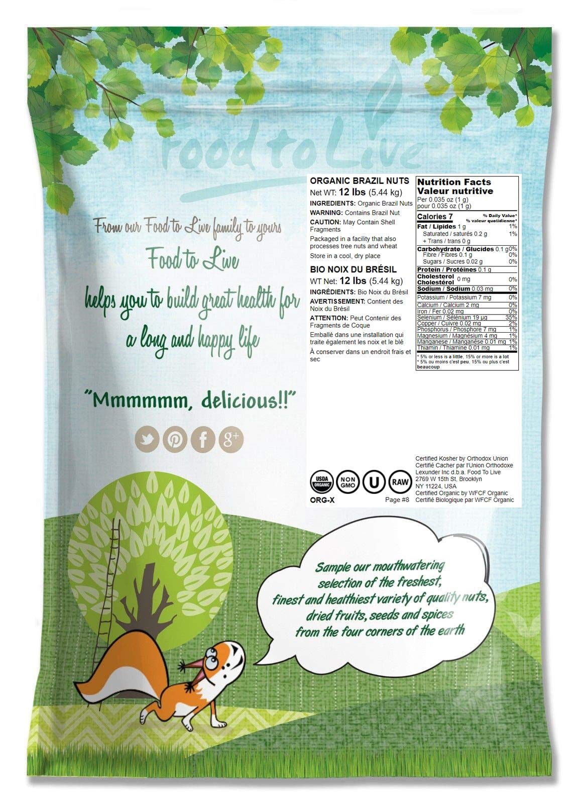 Organic Brazil Nuts 12 Pounds - Raw, Whole, No Shell, Non-GMO, Unsalted, Kosher, Vegan, Keto & Paleo Friendly - Bulk Snacks, Trail Mix Ingredient - Rich in Selenium - Perfect for Healthy Snacking, Baking & Energy Boosting