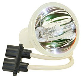 Optoma DX205 Projector Replacement Lamp Bulb - Genuine Technical Precision Bare Lamp Only - Perfect for Home Theater, Office Presentations, and Classroom Projectors